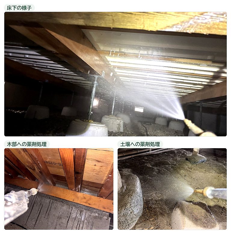 シロアリ駆除・予防工事の施工の様子。床下全体の点検と、木部および土壌への薬剤処理(富山市)